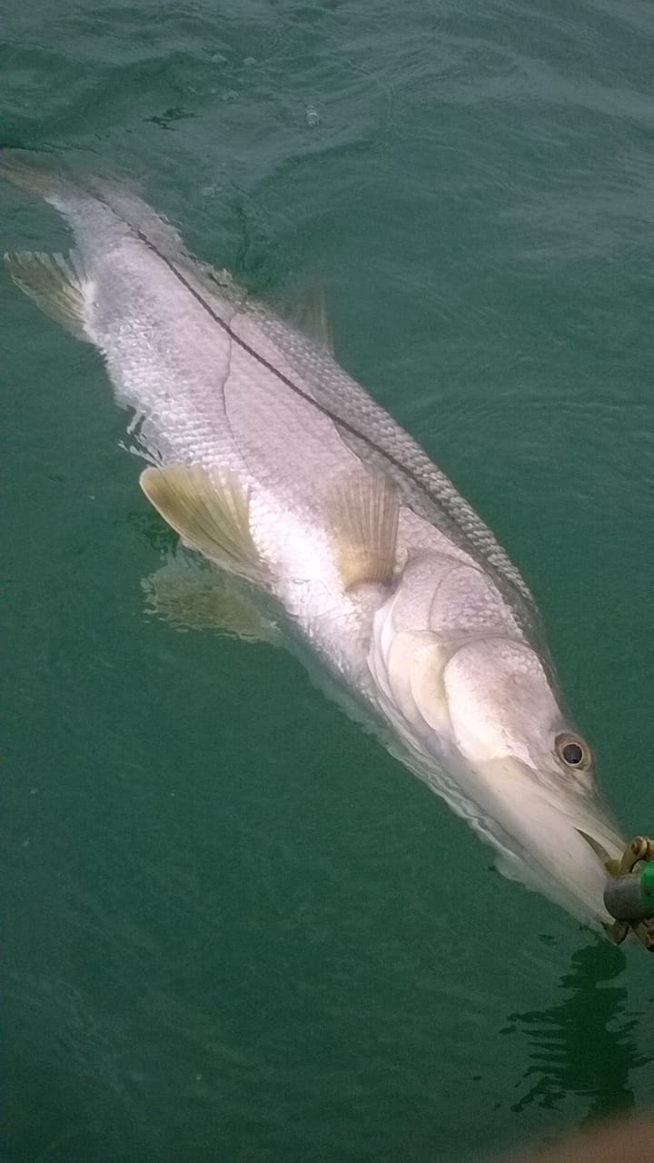 Pescarias em Ubatumirim